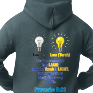 Proverbs 6:23 Hoodie