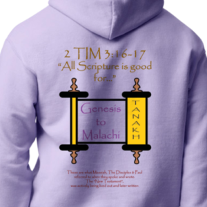 All Scripture - Hoodies