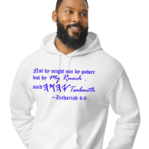 Zechariah 4:6 Hoodie